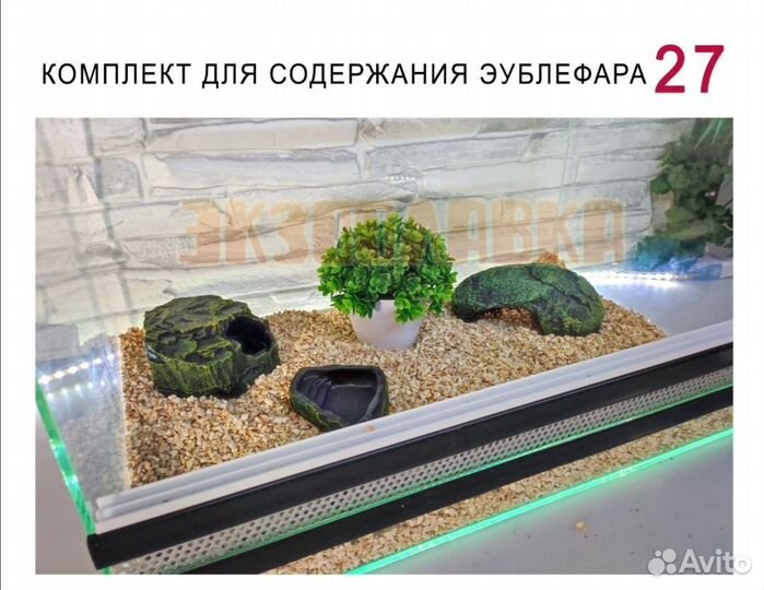 Террариумы с наполнением для рептилий, пауков