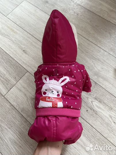 Комбинезон для собаки