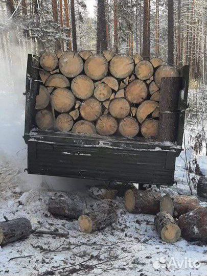 Дрова Сосна, Листвяк 8 куб