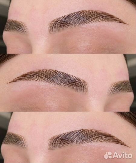 Обучение курс бровист