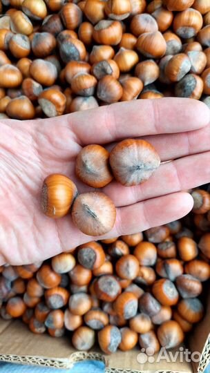 Миндаль мягкий, сладкий. Фундук Крым, грецкий, Мёд