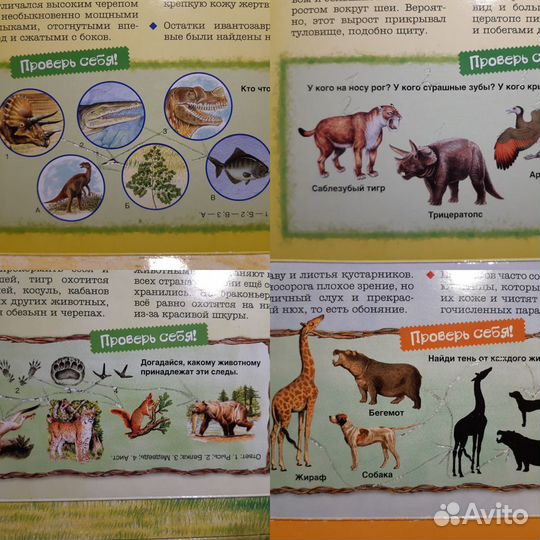 Книги с трафаретами