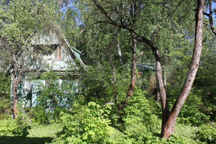 Участок 6 сот. (ИЖС)