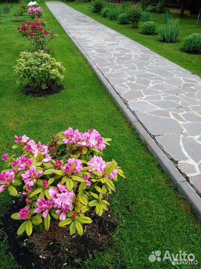 Садовник, помощник по хозяйству