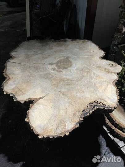 Слэб ясеня круглый большой