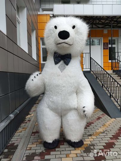 Панда,Белый Мишка,Миша,Зайка-аниматор,поздравление