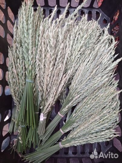 Корм лакомство для птиц, попугаев, грызунов