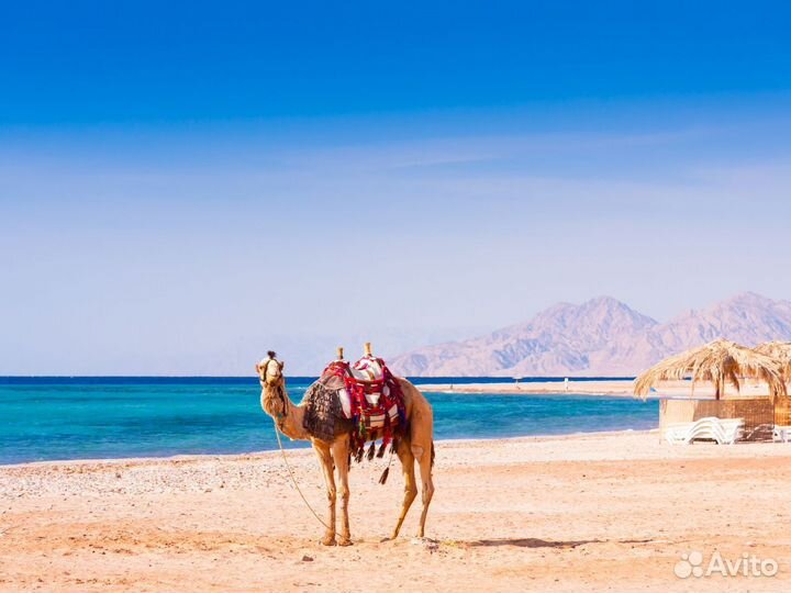 Турне в Hurghada на 6 нч за двоих чел