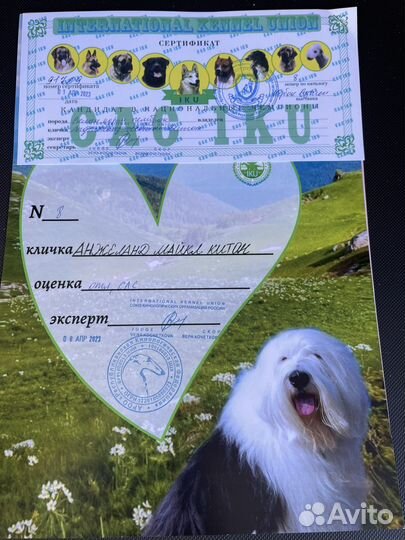 Вязка