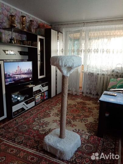 Когтеточка