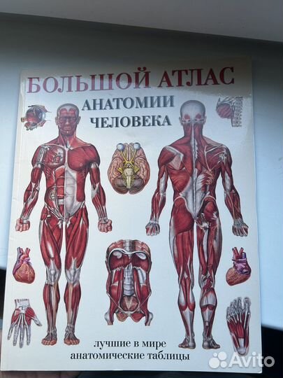 Большой атлас анатомии человека