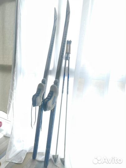 Беговые лыжи