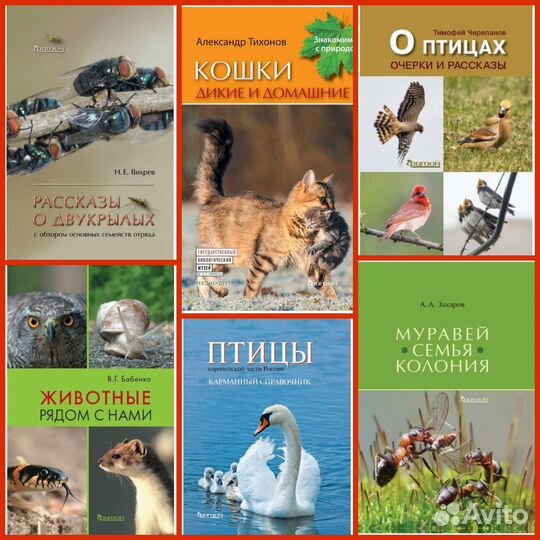 Звероящеры, Животные, Птицы, Насекомые