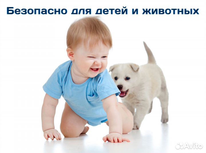 Уничтожение тараканов дезинсекция