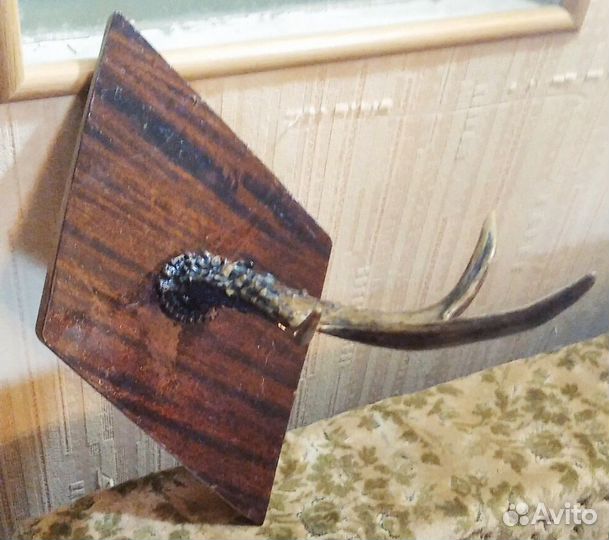 Вешалка Рога косули