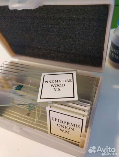 Микроскоп levenhuk rainbow 2l