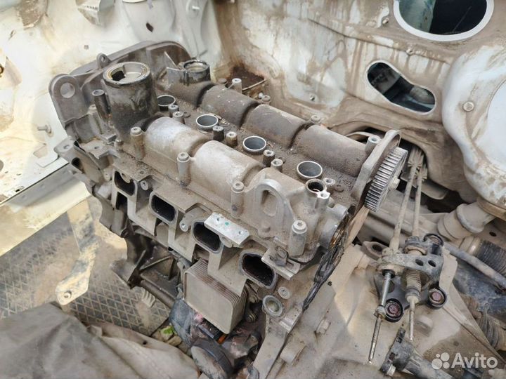 Двигатель Volkswagen Polo V рестайлинг (2015—2020)