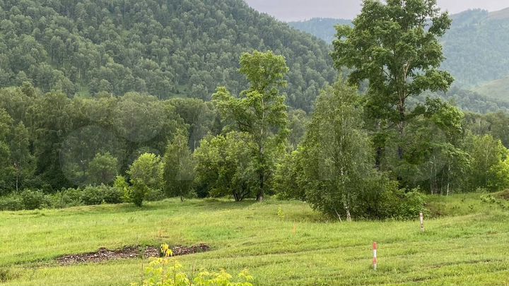 Участок 10 сот. (СНТ, ДНП)