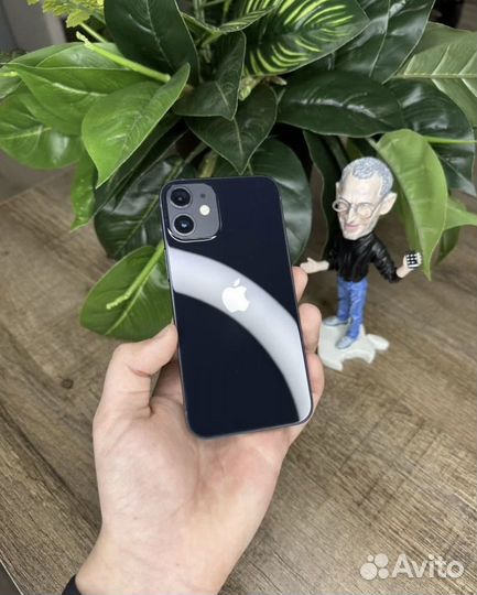 iPhone 12 mini, 256 ГБ