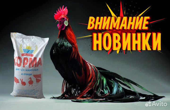 Комбикорм Профи для кур, 30 и 40 кг
