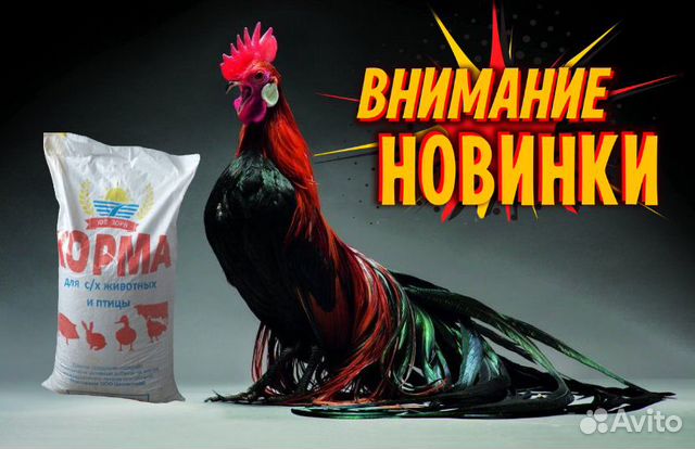Комбикорм Профи для кур, 30 и 40 кг