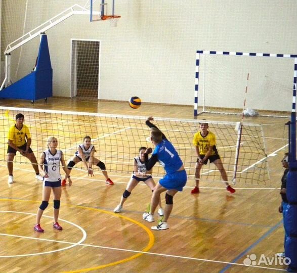 Любительский волейбол смешанные команды