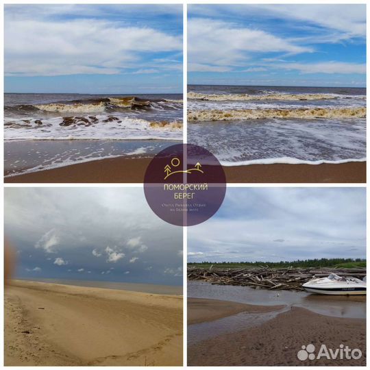 Осенняя охота на гуся. Всё включено Север