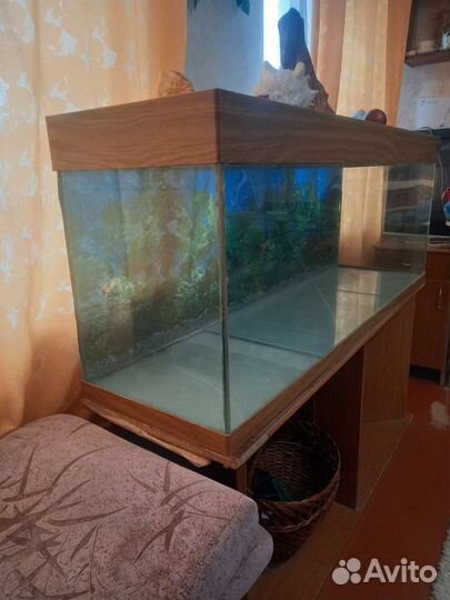 Аквариум
