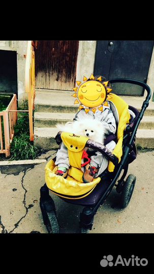 Прогулочная коляска zippy