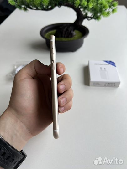 iPhone 6 64