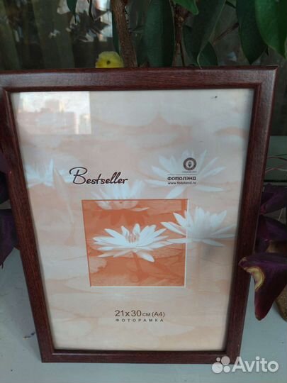 Рамки для фотографий