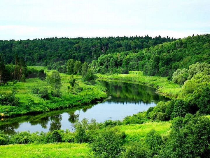 Участок 21 сот. (ИЖС)