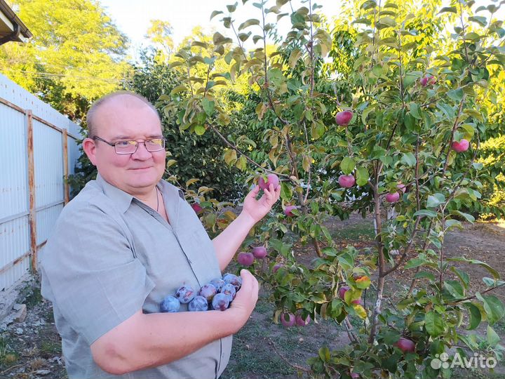 Инженер по строительству