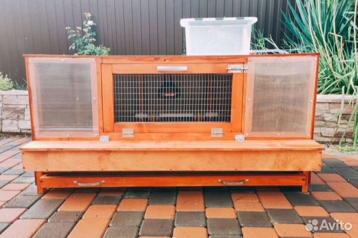 Брудер для цыплят