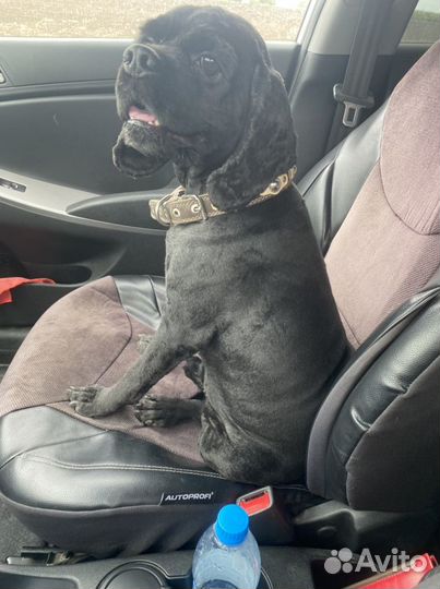 Ищем подружку