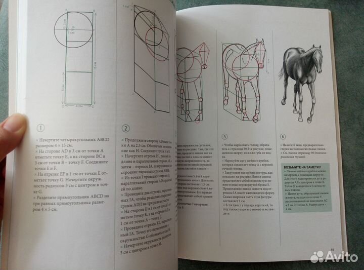 Книга Рисуем лошадей, Мари-Одиль Колатрелла