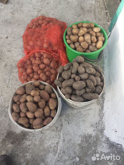 Продукты питания