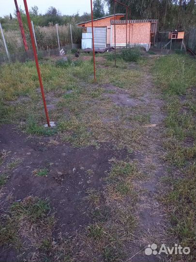 Кролики продажа