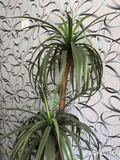 Пальма искусственная в горшке