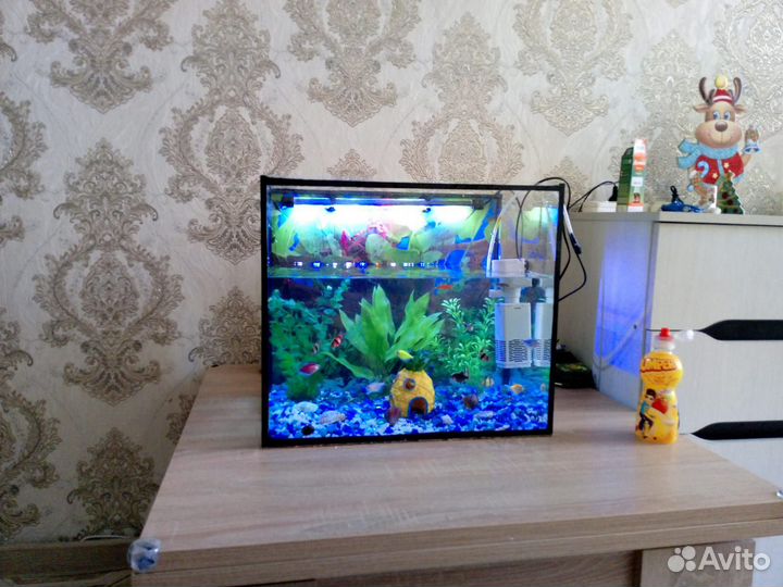 Аквариум