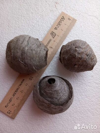 Осиные гнезда 3 шт комплект