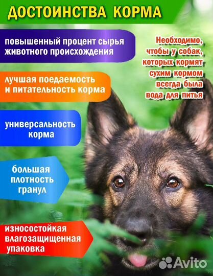 Вожак корм сухой