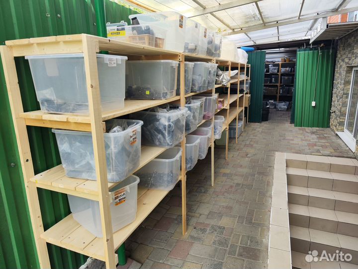 Ремонт велосипедов и самокатов. Выкуп