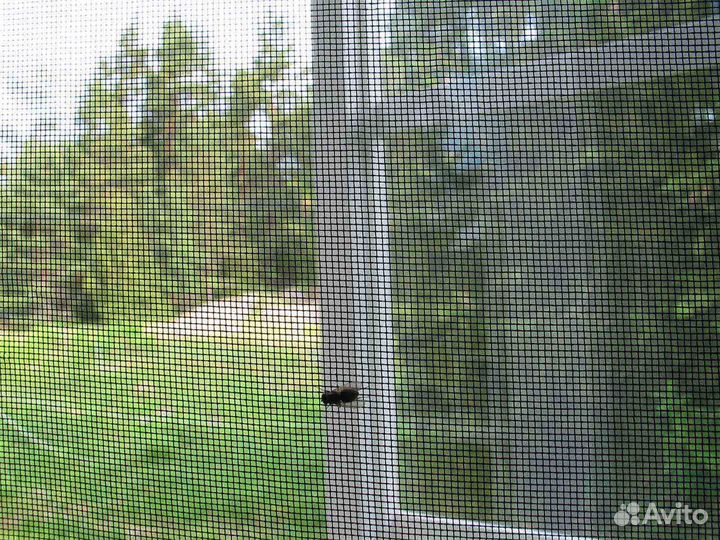 Москитная сетка для котов RAL68998