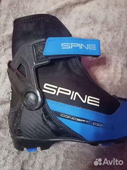 Лыжные ботинки spine concept combi