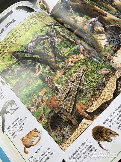 Книга На поиски Животных Росмэн 1997 г