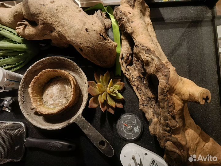 Террариум для ящерицы 904545