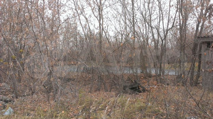 Участок 66 сот. (промназначения)