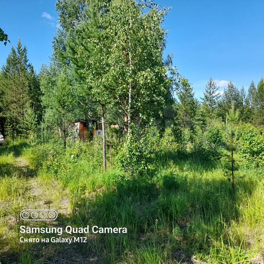 Участок 10,6 сот. (СНТ, ДНП)