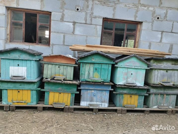 Продам ульи для пчел